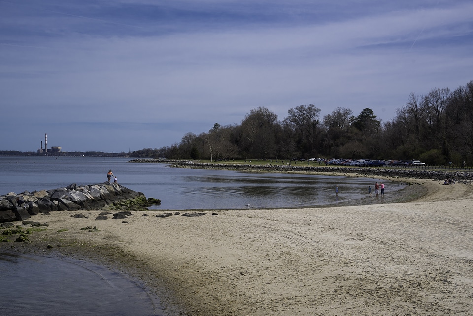 Coastline Landscape in Yorktown, Virginia