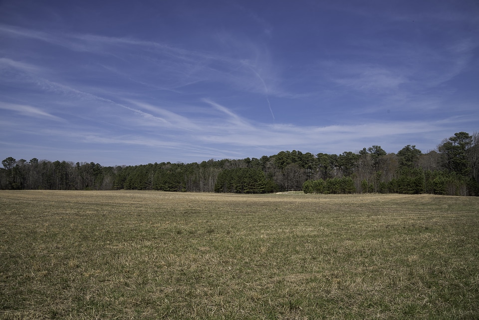 Landscape near Surrender Field in Yorktown, Virginia