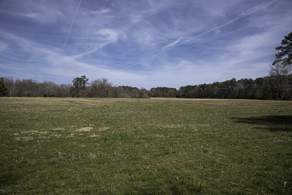 Field Near the French Hospital in Yorktown, Virginia