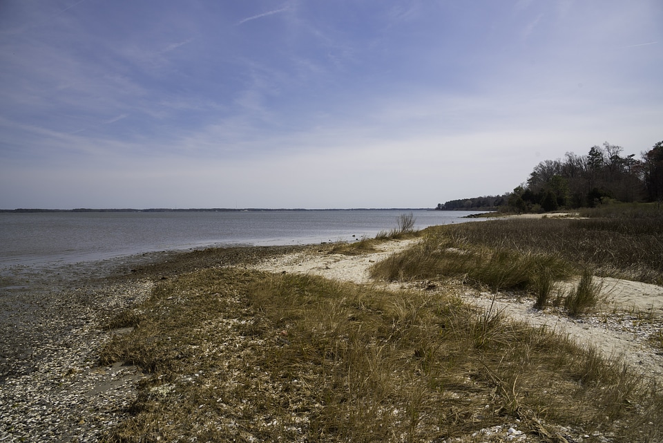 Coastline Landscape on the York River in Yorktown, Virginia
