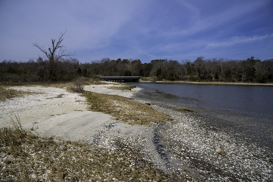 Beach and Coastal Landscape in Yorktown, Virginia