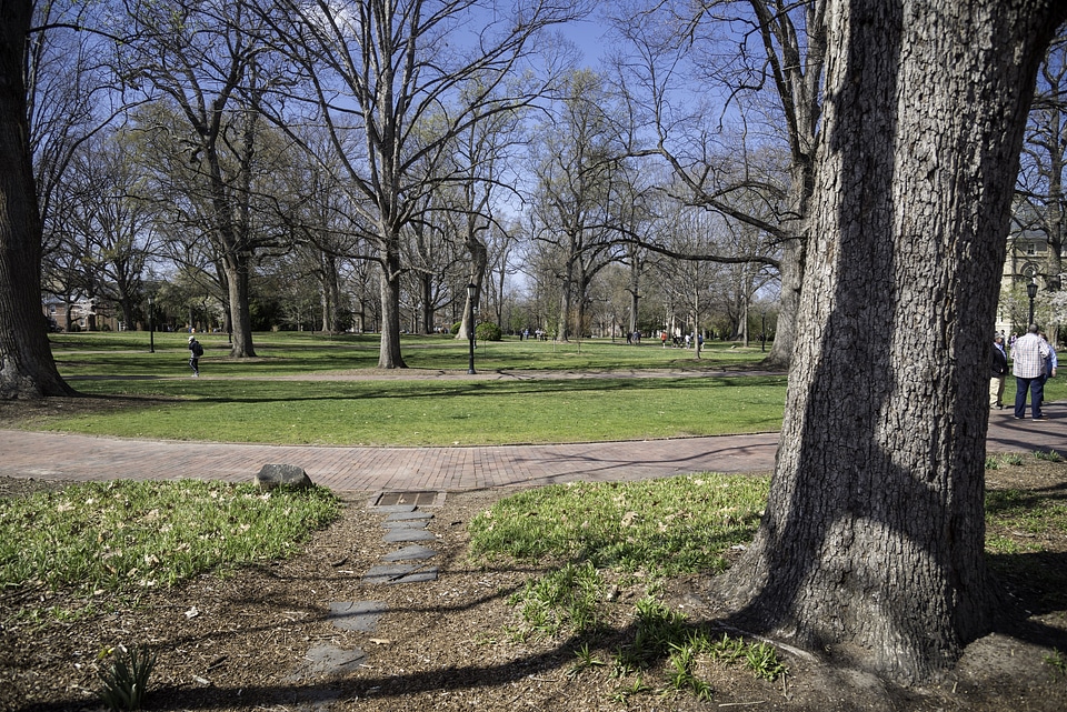 View of the main quad area at UNC Chapel Hill, North Carolina