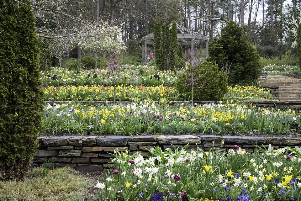 Flowers in Terraces in Duke University in Durham, North Carolina