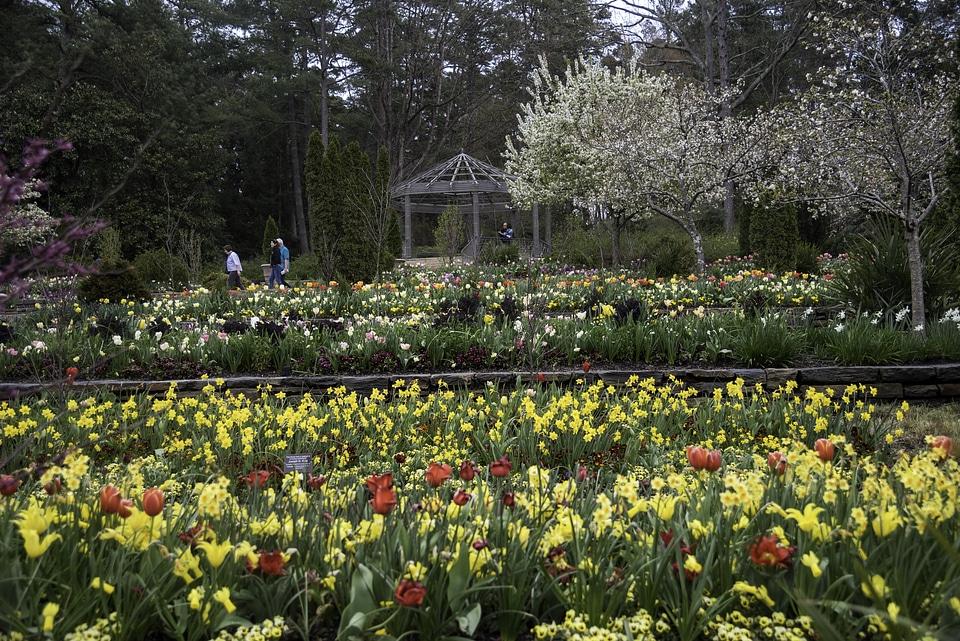 Flower terraces in Duke Gardens in Durham, North Carolina