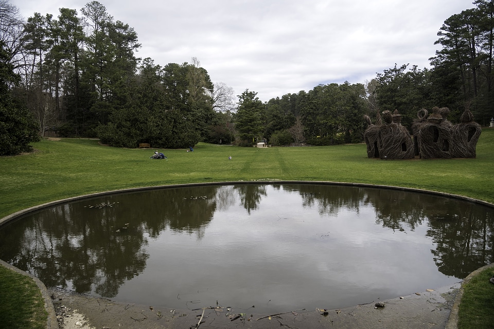 Overlooking the Pond and the Gardens at Duke University in Durham, North Carolina
