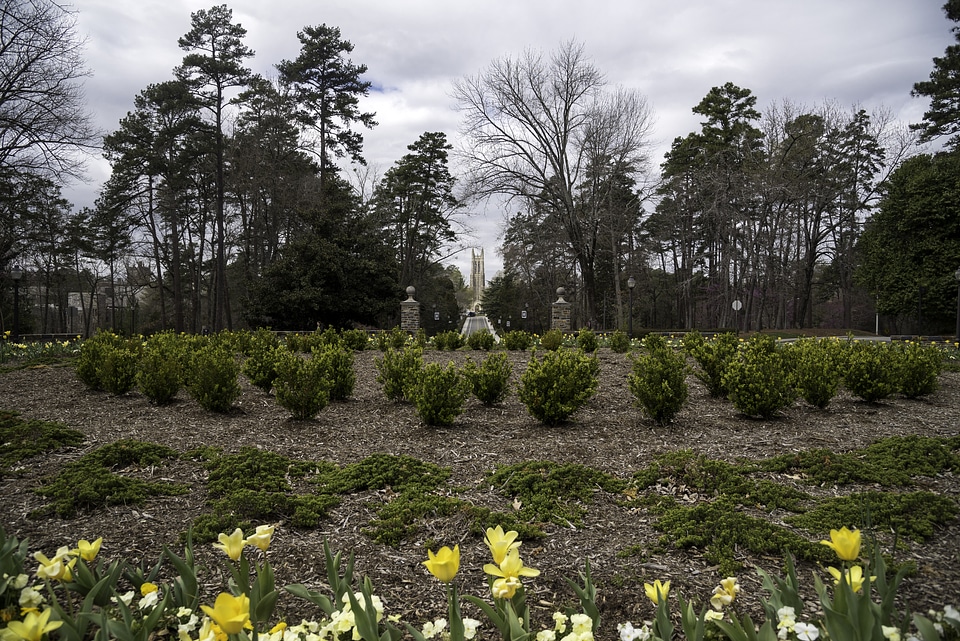Center of the drive Circle at Duke University in Durham, North Carolina