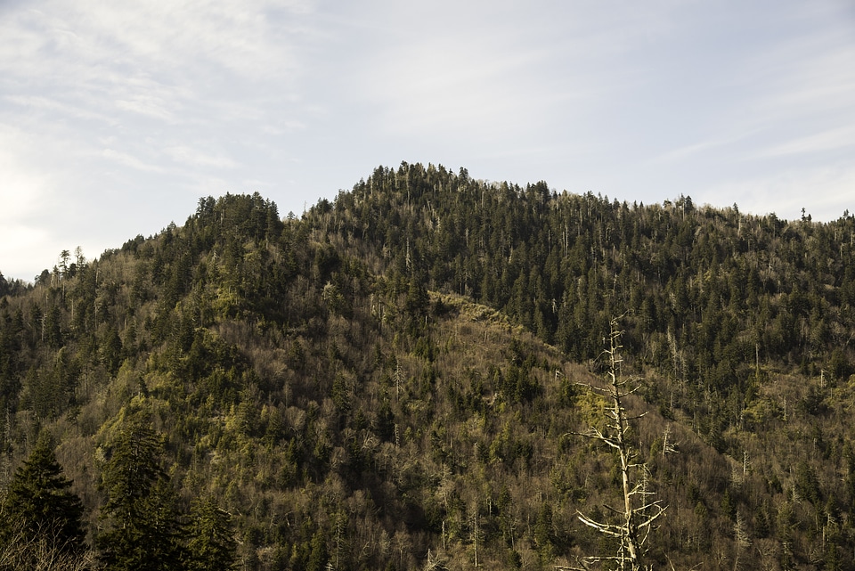 Mountains under the sky landscape in Great Smoky Mountains National Park, Tennessee