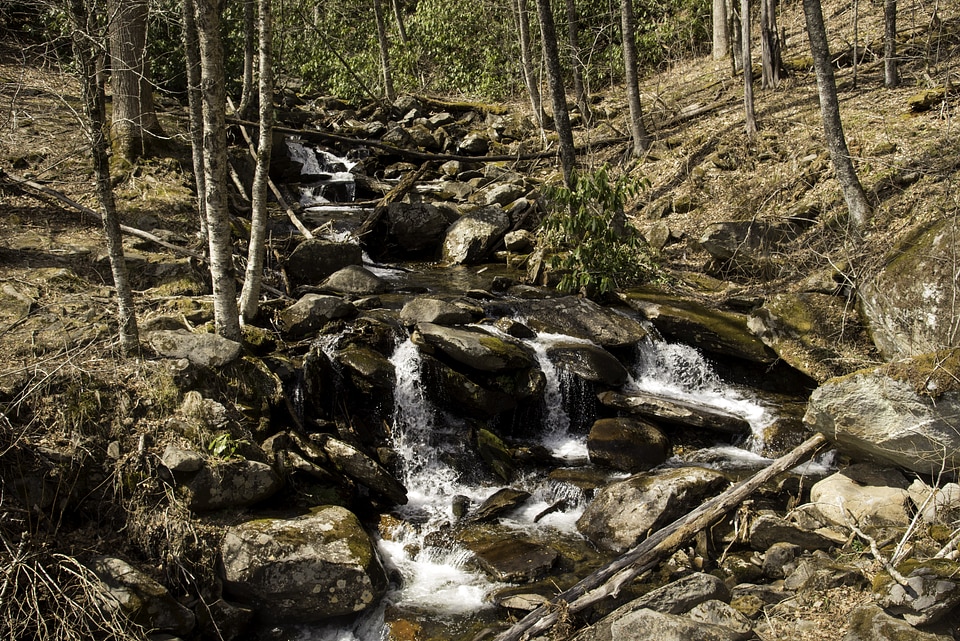 Beautiful Waterfalls in Great Smoky Mountains National Park, Tennessee