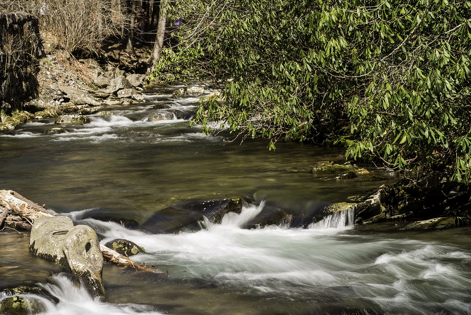 Rapids and river scenery in Great Smoky Mountains National Park, North Carolina