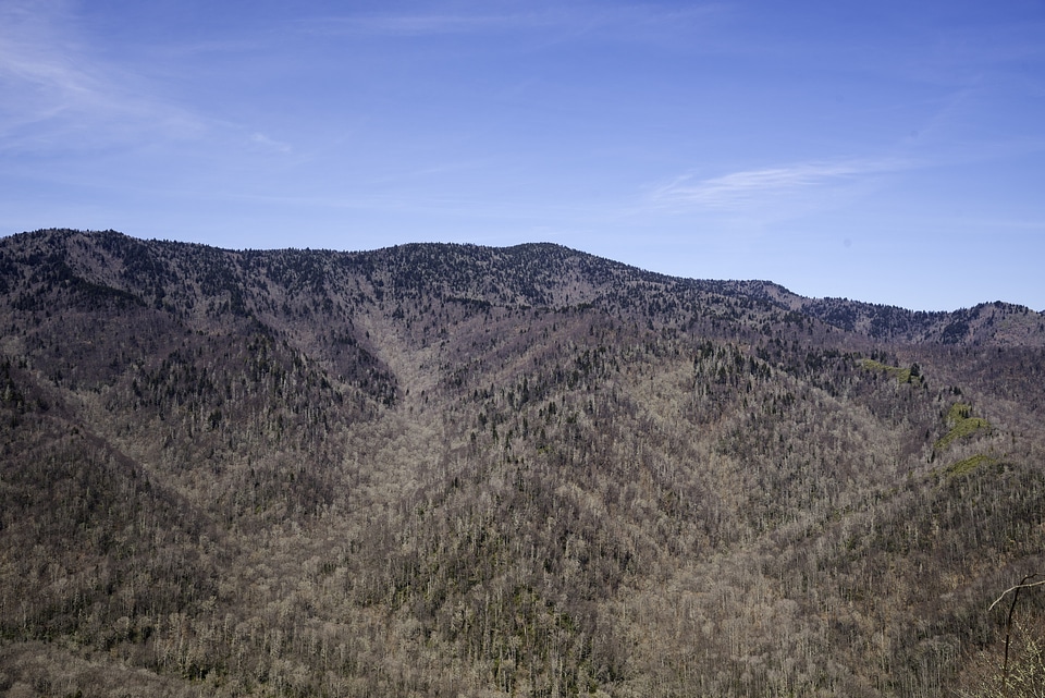 Mountaintops of the Appalachians in Great Smoky Mountains National Park, North Carolina