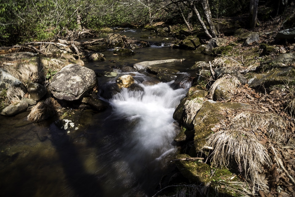 Water Cascading Rapids in Great Smoky Mountains National Park, North Carolina