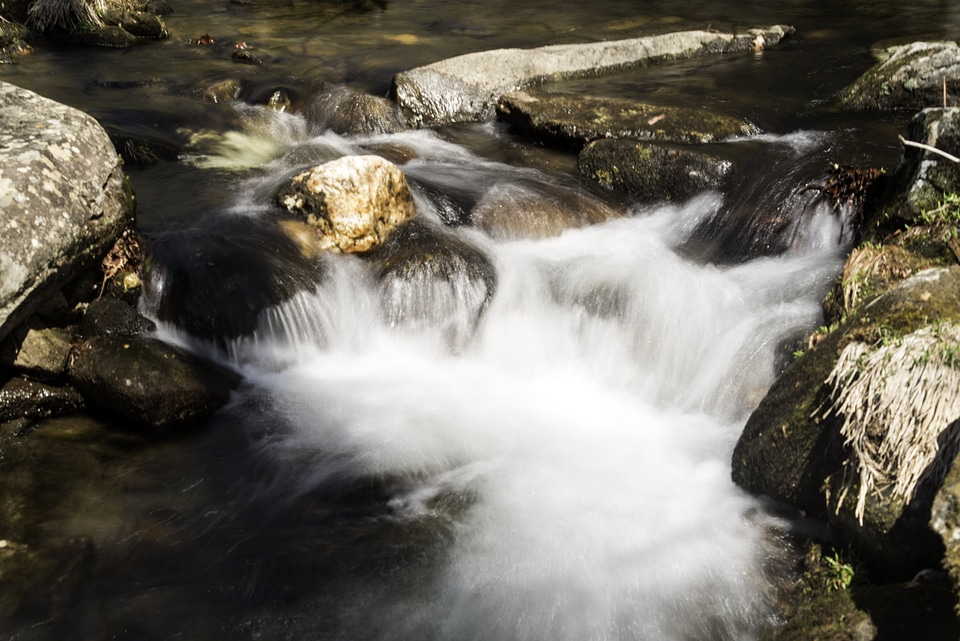 Close-up of rapids and cascades in the river at Great Smoky Mountains National Park, North Carolina