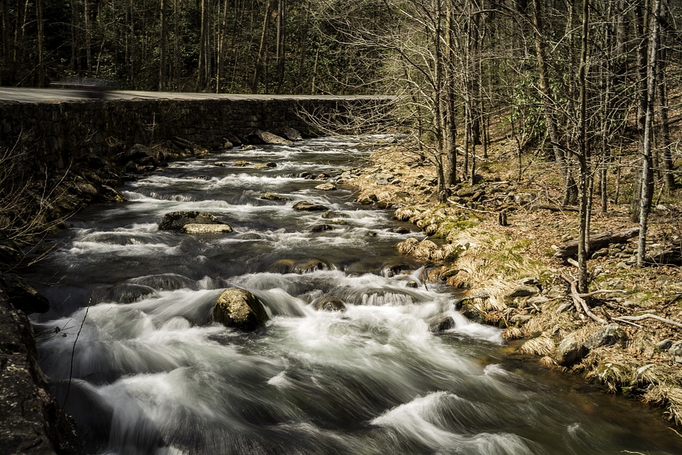 Scenic Rapids on the river in Great Smoky Mountains National Park, North Carolina