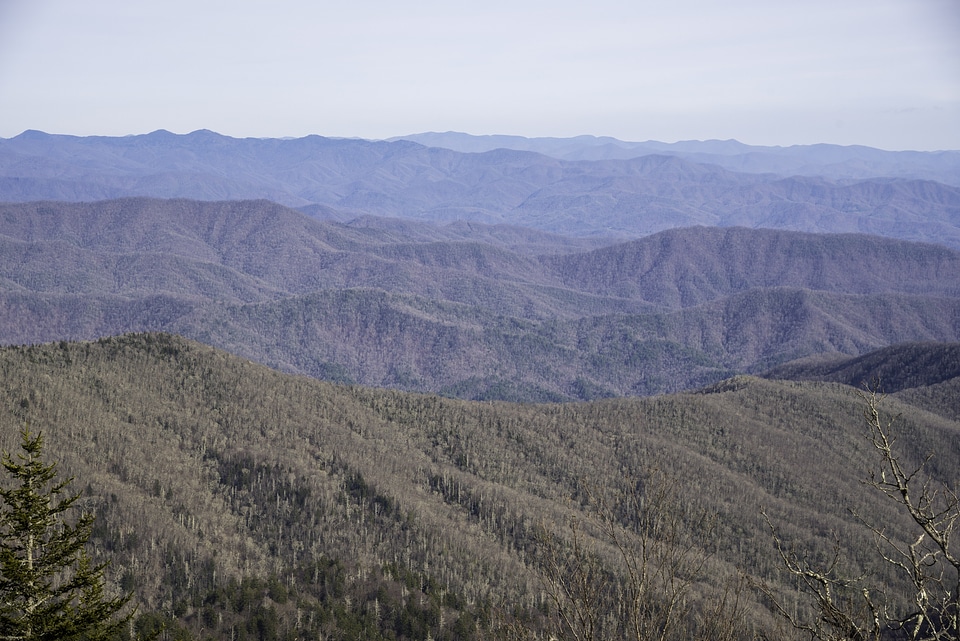 Mountain Silhouettes in the landscape in Great Smoky Mountains National Park, Tennessee