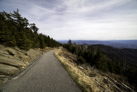 Clingman's Dome Trail to the top landscape in Great Smoky Mountains National Park, Tennessee photo