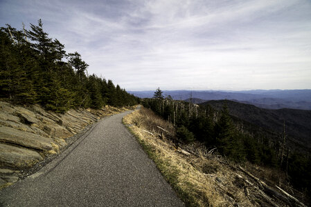 Clingman's Dome Trail to the top landscape in Great Smoky Mountains National Park, Tennessee