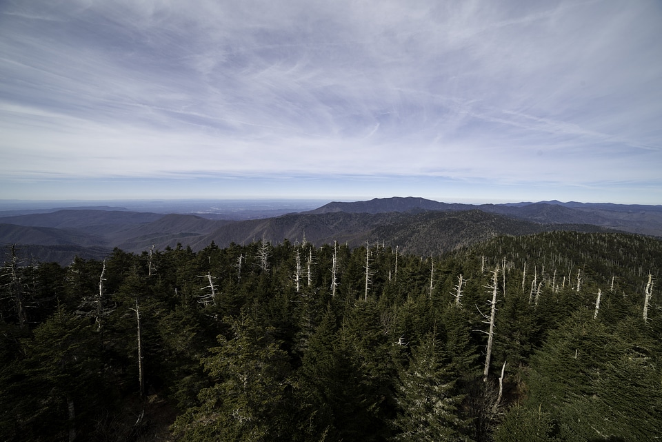 Trees and mountaintops landscape at Clingman's Dome, Tennessee