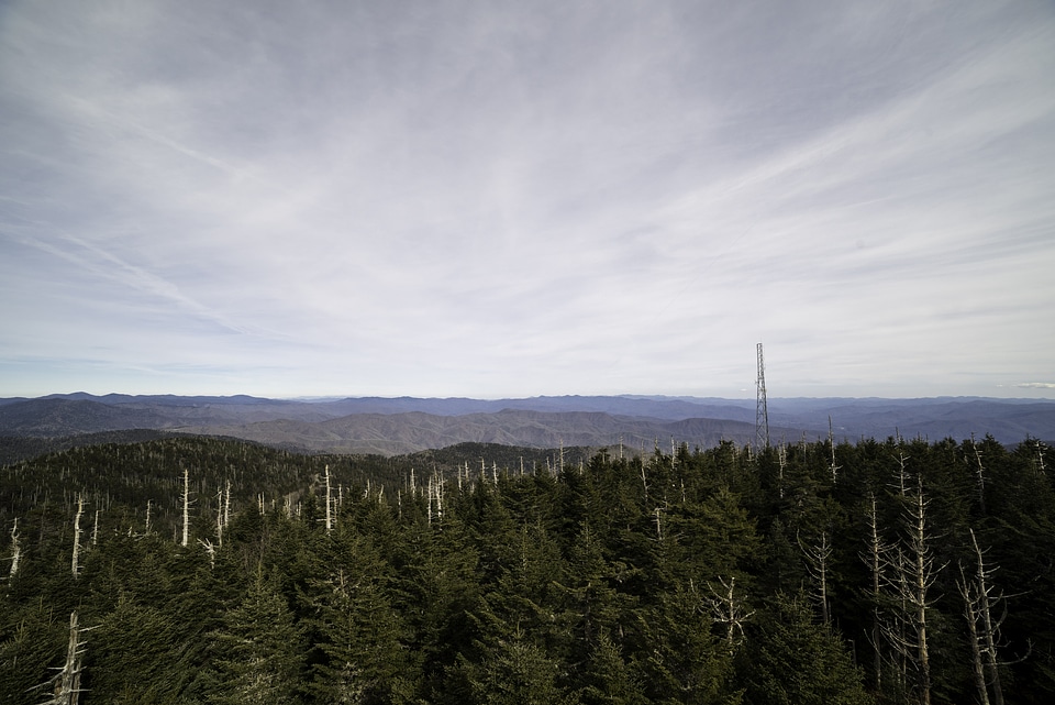Hills, radio tower, and sky with trees from Clingman's Dome, Tennessee