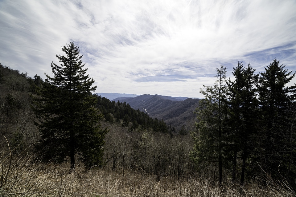 Mountain Landscape at the Newfound Gap in Great Smokey Mountains National Park, Tennessee