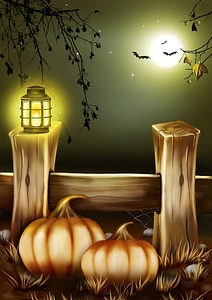 Lights, Pumpkins, and Bats under a full moon Halloween scene photo