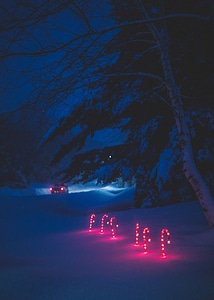 Lighted Candy Canes in the snow Christmas Decorations photo
