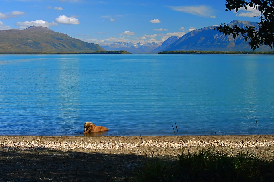 Mountains landscape scenic
