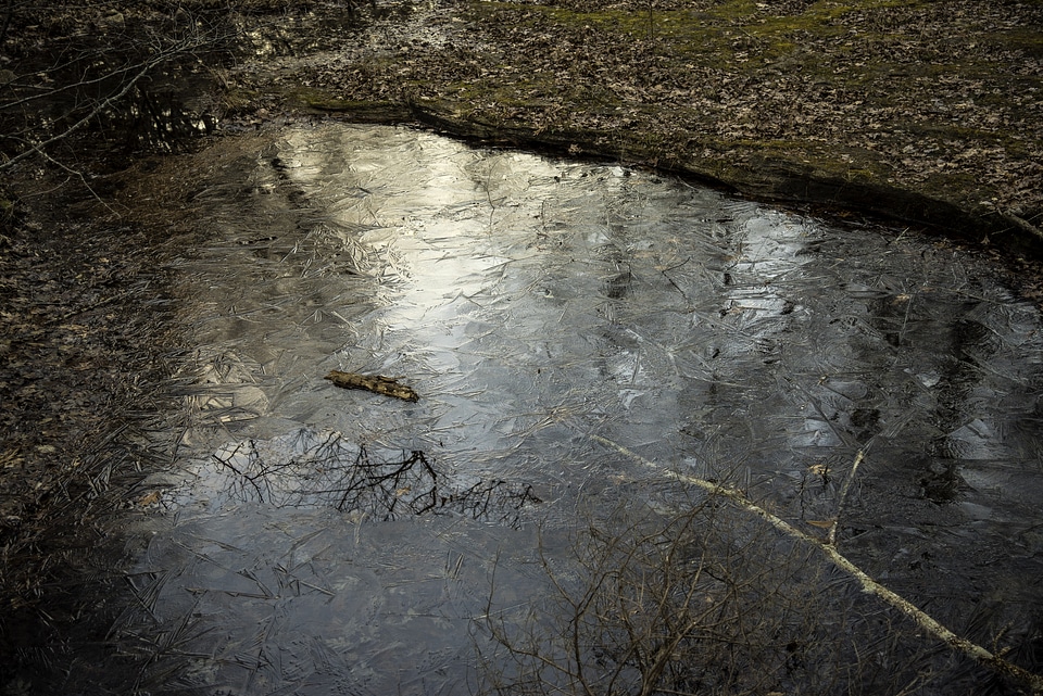 Ice Patterns on the water in the creek at Hawn State Park, Missouri