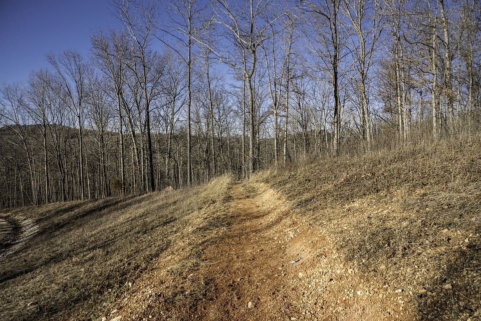 Dirt hiking trail landscape at Echo Bluff State Park, Missouri