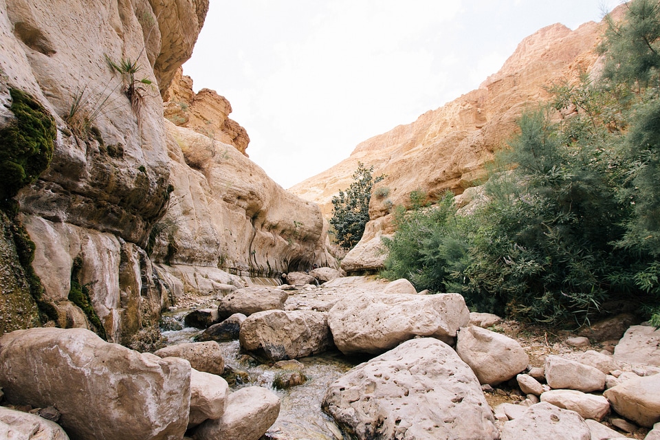 Canyon Landscape in Ein Gedi, Israel