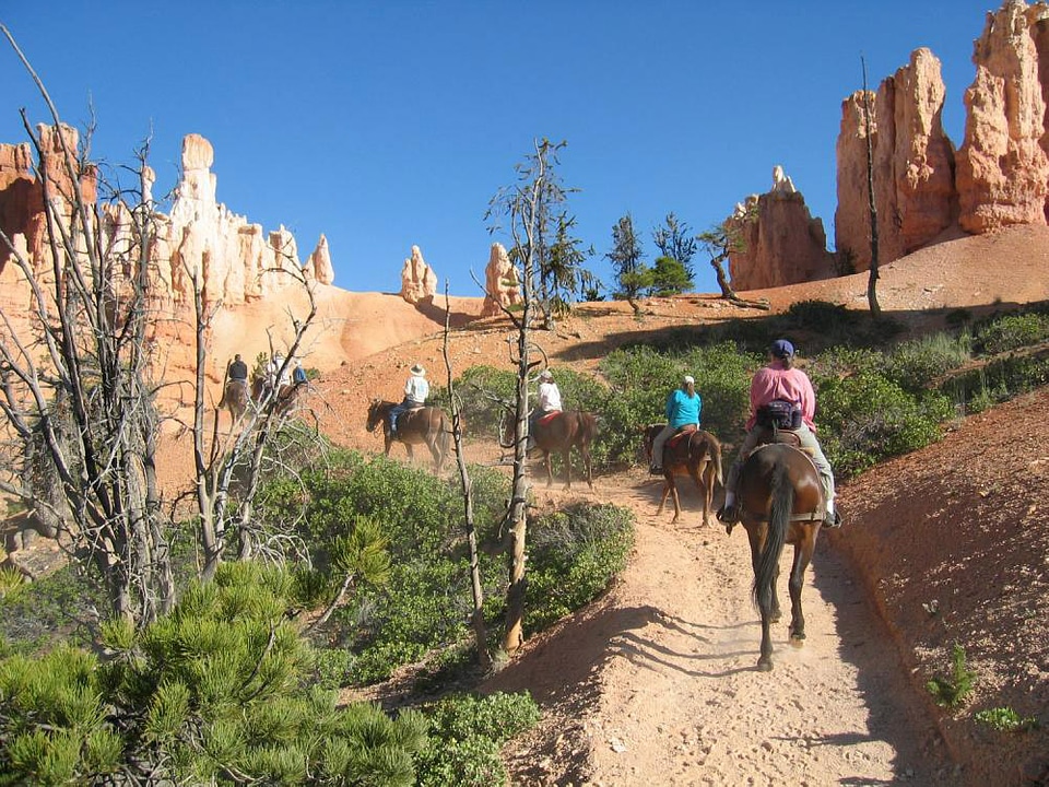 Horseback Riders in Bryce Canyon National Park, Utah