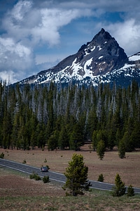 Mountain and Forest landscape in Colorado