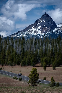 Mountain and Forest landscape in Colorado photo