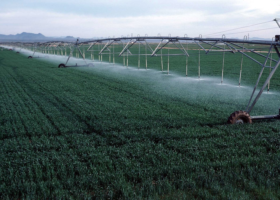 Center-pivot irrigation of wheat growing in Yuma County, Colorado