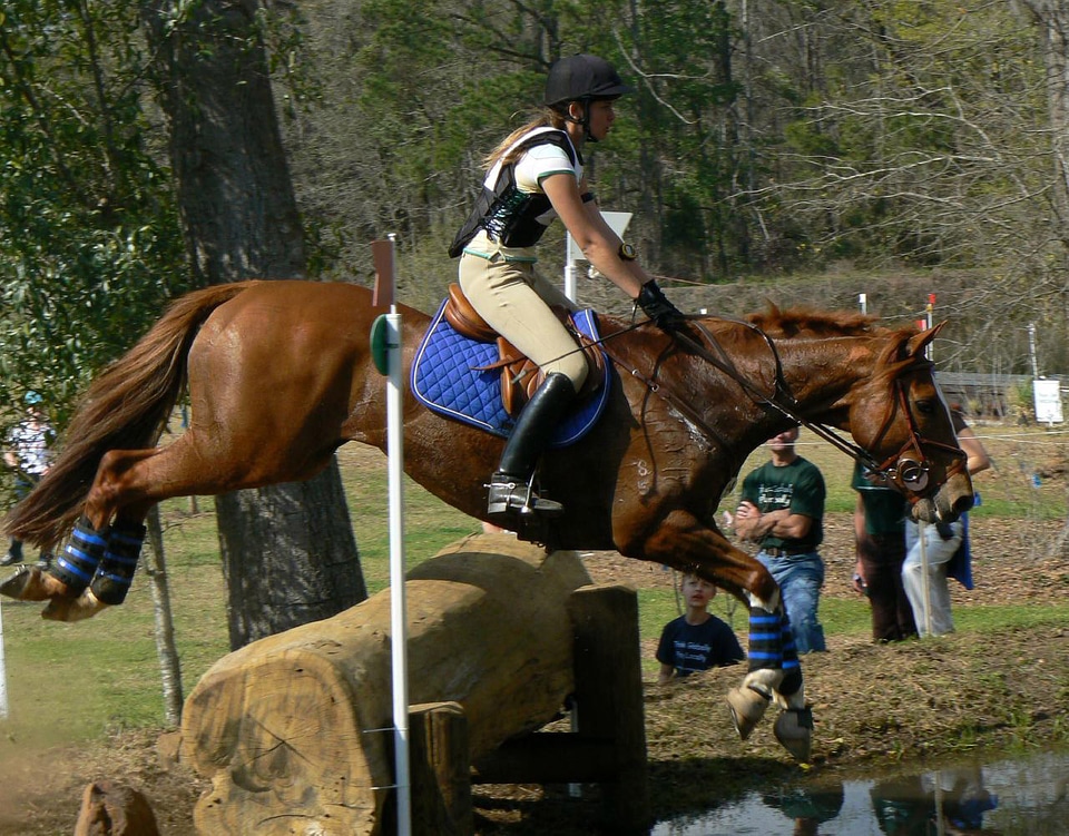Cross-country riding competition at Red Hills Horse Trial in Tallahassee, Florida