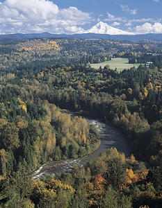 Mt Hood and Sandy River landscape in Oregon photo