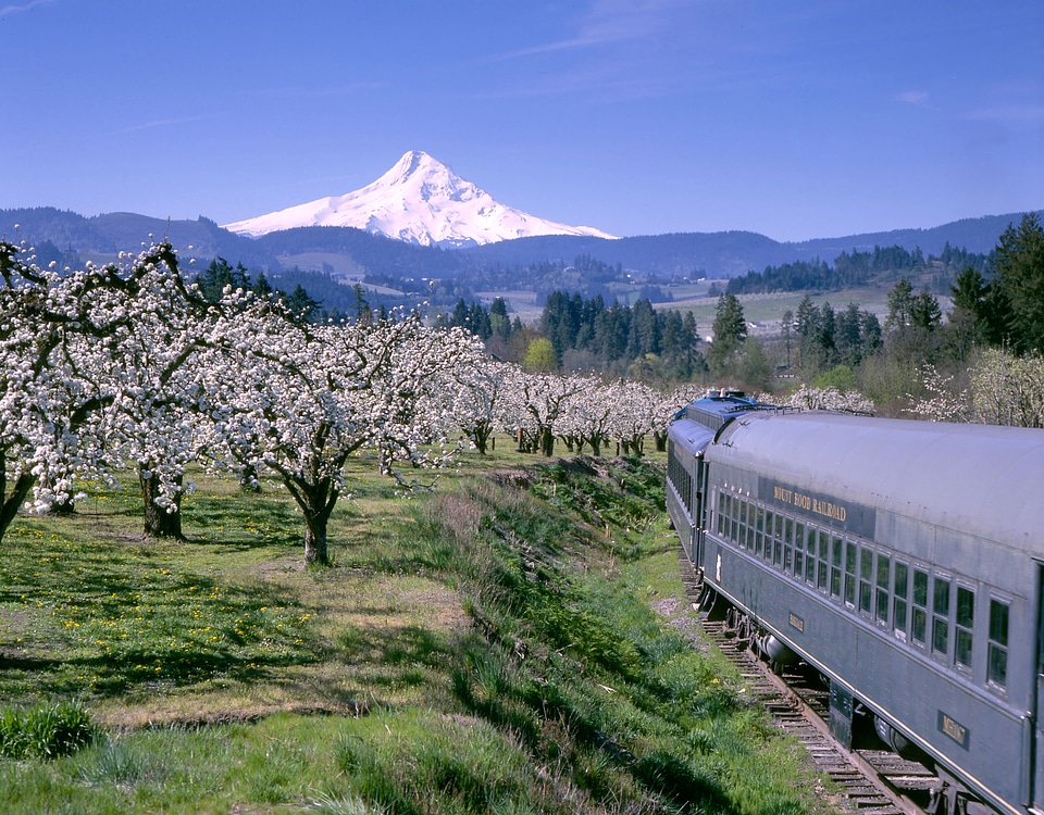Landscape of Mount Hood from the railroad in Oregon
