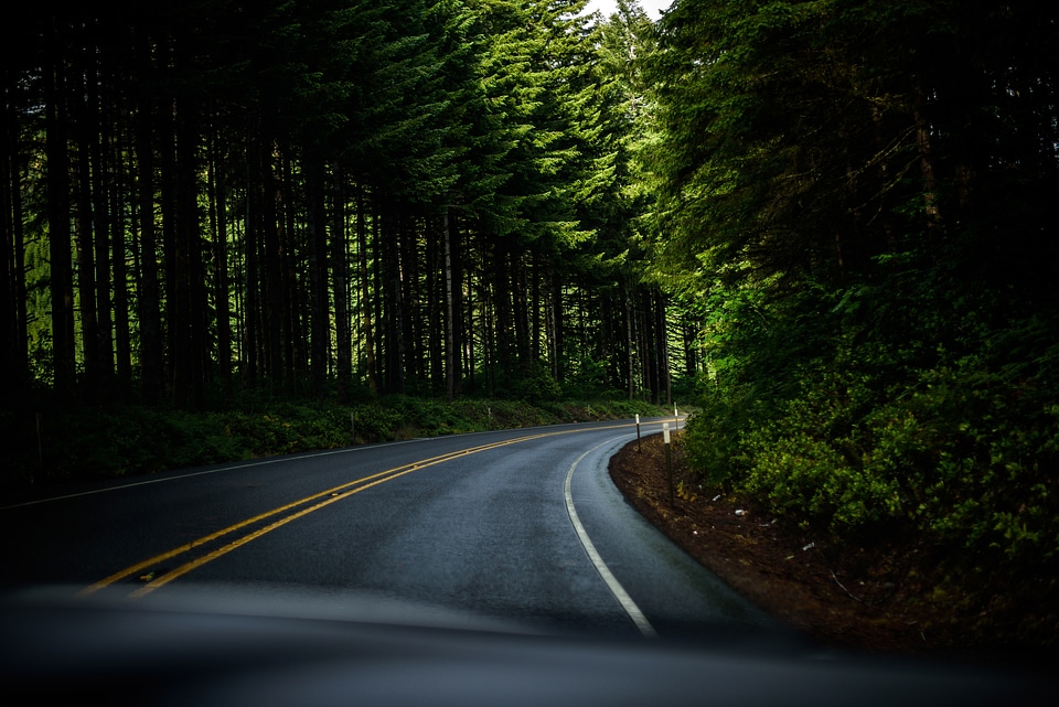 Winding Roadway in Oregon