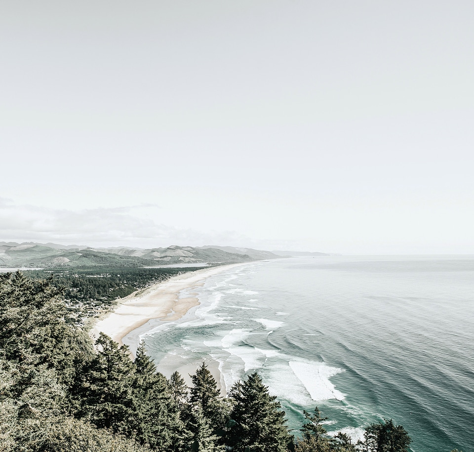 Shoreline landscape with beach and forest in Oregon