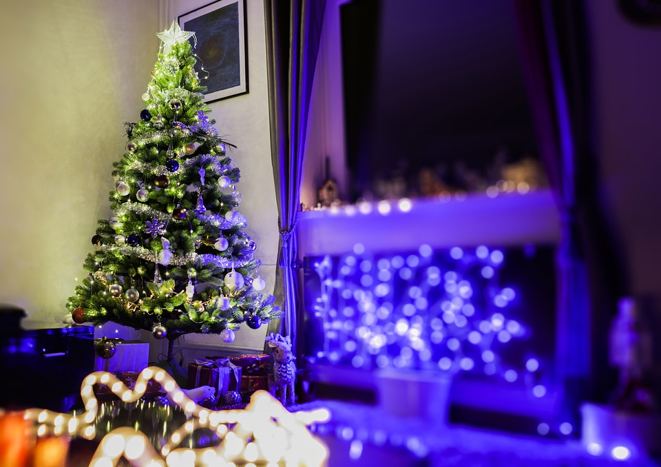 Small Christmas Tree by the Window