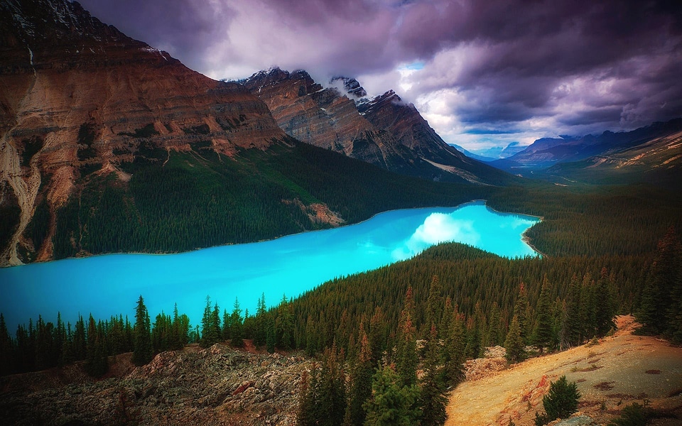 Lake in the Mountain with trees and forest landscape photo