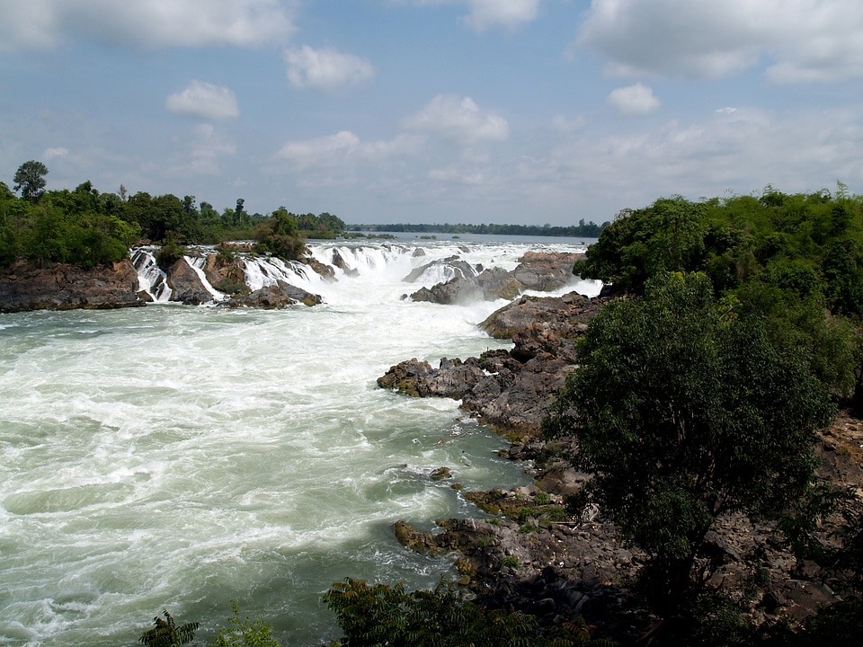 Jungle landscape river