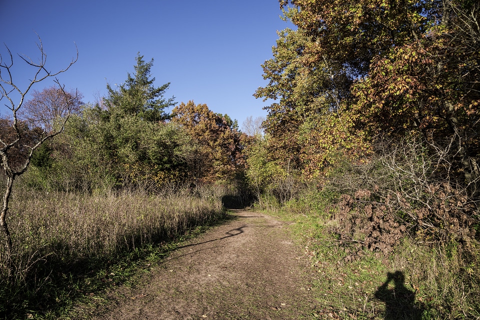 Hiking Trail at Pike Lake State Park, Wisconsin