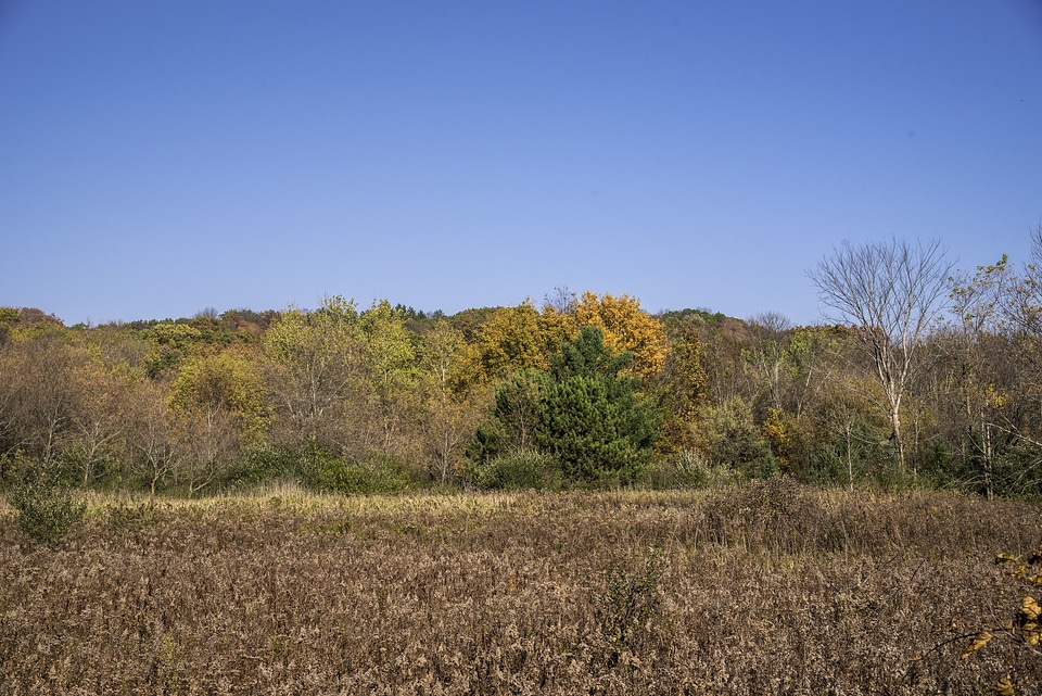 Autumn color on the trees near Holy Hill, Wisconsin