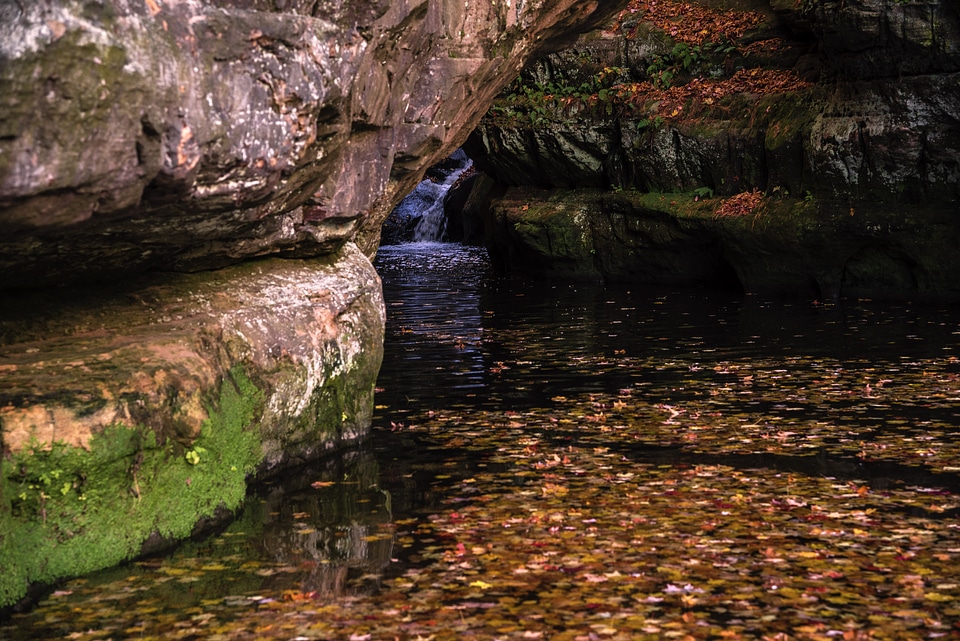 Waterfall within the gorge and leaves in the water at Pewit's Nest, Wisconsin