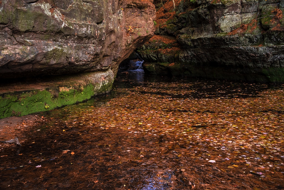 Red Leaves in the waters of the gorge at Pewit's Nest, Wisconsin