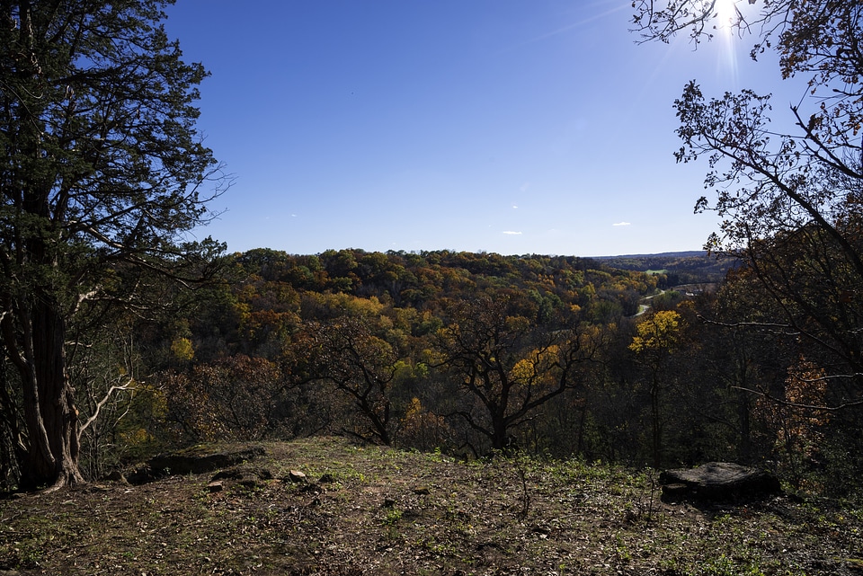 Morton County Forest Overlook in Wisconsin