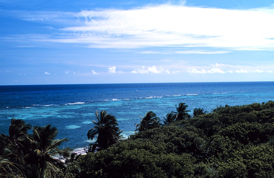 Patch reefs at Mona Island, Puerto Rico