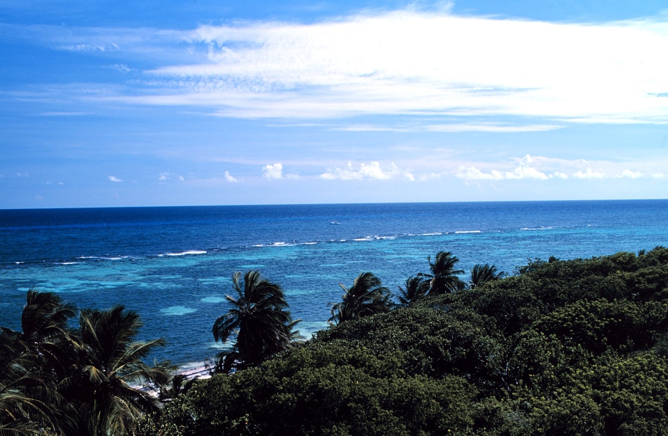 Patch reefs at Mona Island, Puerto Rico photo