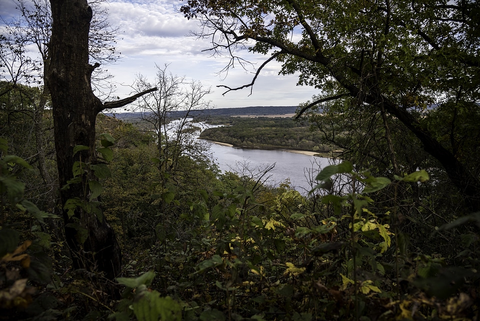 Wisconsin River landscape through the trees at Ferry Bluff