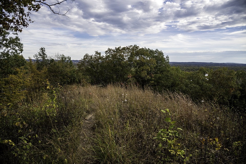 Grasses and trees under the sky and clouds at Ferry Bluff, Wisconsin